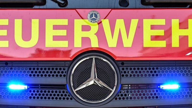 Gewitter-Nacht: Dreimal musste die Wehr in Bedburg-Hau wegen umgestürzter Bäume raus
