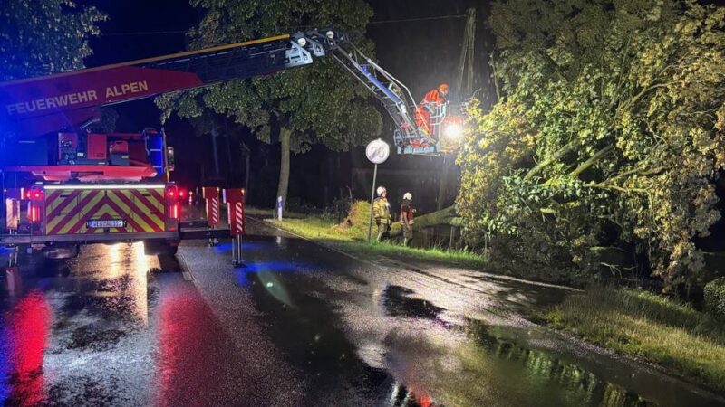Unwetter in Alpen: Sturmnacht sorgt für mehrere Einsätze der Feuerwehr
