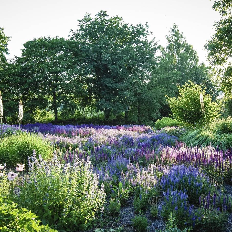Schloss Dyck zeigt Fotos aus Schwedens Gärten: Wenn die Magie des Lichts den sommerlichen Garten verzaubert