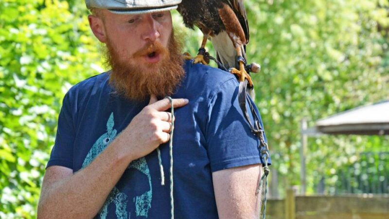 Naturkunde in Grevenbroich: Greifvögel im Wildfreigehege hautnah erleben