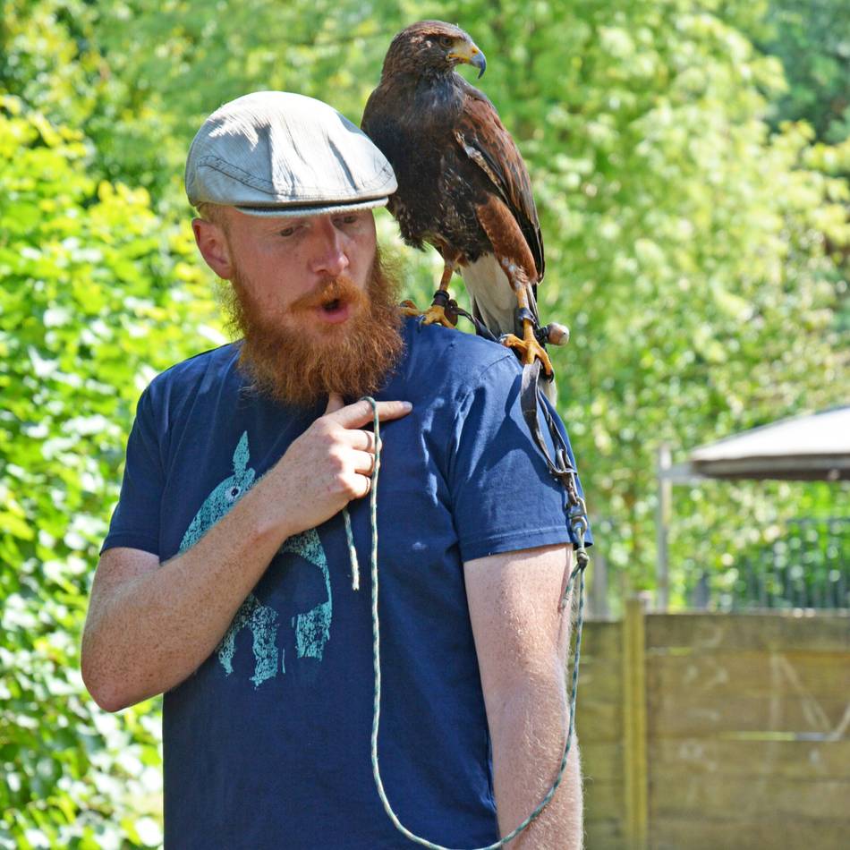 Naturkunde in Grevenbroich: Greifvögel im Wildfreigehege hautnah erleben
