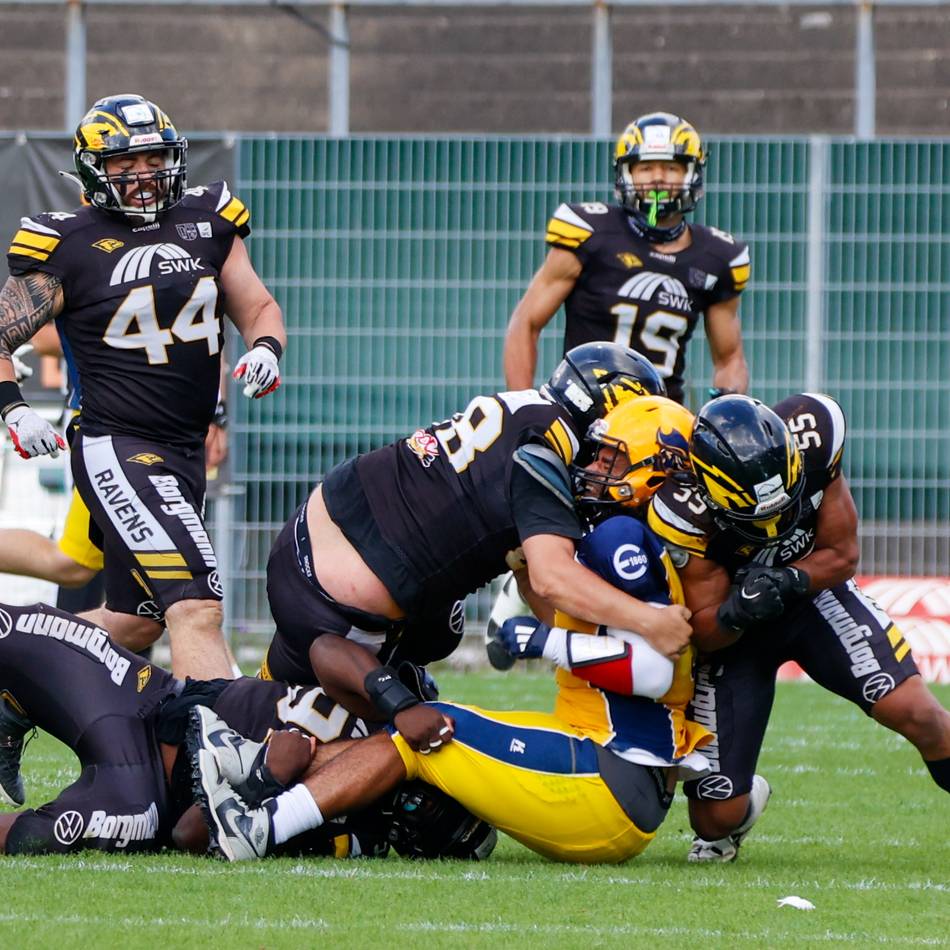 Nach perfektem Saisonstart: Krefeld Ravens sind in Elmshorn gefordert