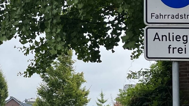 Verkehr in Korschenbroich: Beim Verkehrsausschuss stehen Fahrradstraßen zur Debatte