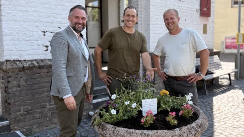 Sponsoring für Blütenpracht: Kein Geld für Blumen – Firma springt für Stadt ein