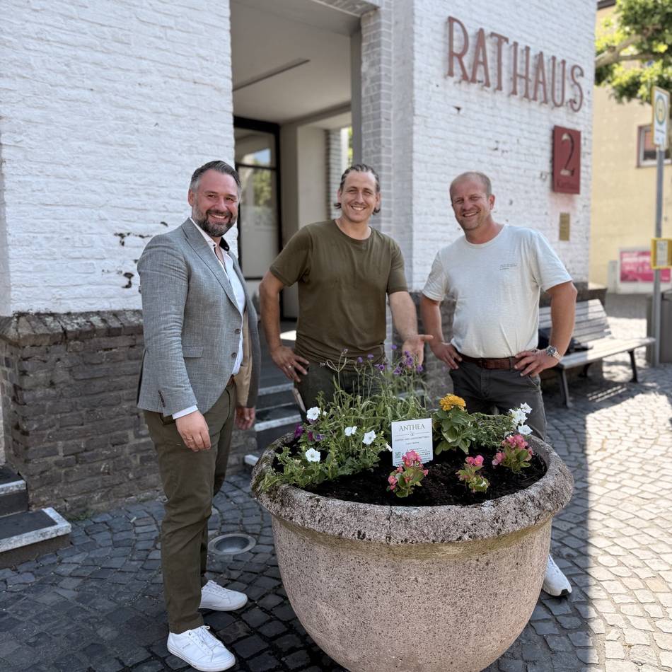 Sponsoring für Blütenpracht: Kein Geld für Blumen – Firma springt für Stadt ein