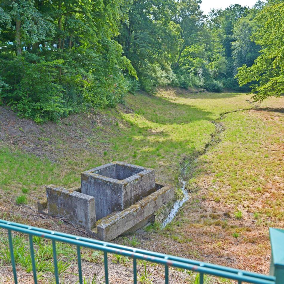 Lösungen brauchen Zeit: Gewitterregen lässt Bäche schnell steigen