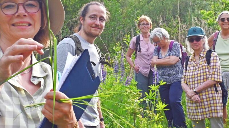 Exkursion mit Unteren Landschaftsbehörde zeigt den erstaunlichen Wandel am Eigener Bach auf: Mittelgebirgsbach wandelt sich zu Auenlandschaft