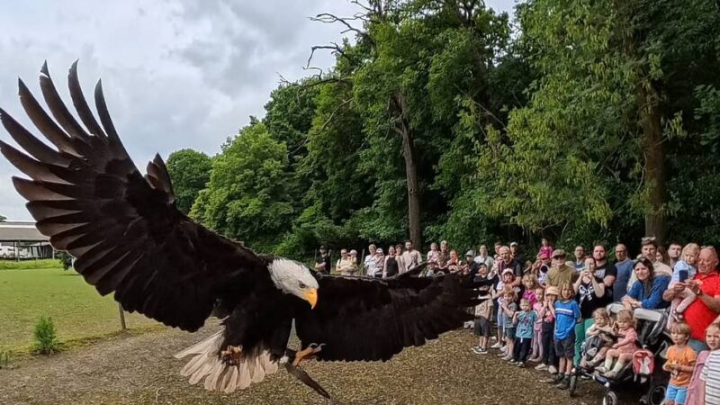 Wildparkfest in Leverkusen: Fischotternachwuchs geht – junge Zicklein kommen