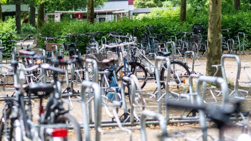Sicherheit in Meerbusch: Gymnasium kämpft gegen Fahrraddiebe und Vandalismus