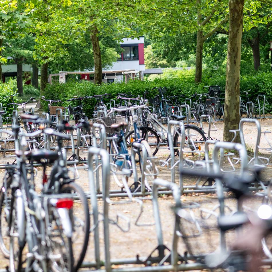 Sicherheit in Meerbusch: Gymnasium kämpft gegen Fahrraddiebe und Vandalismus