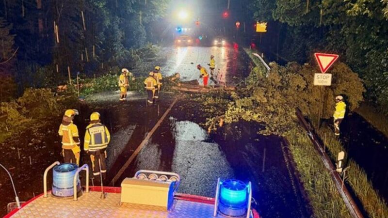 Unwetter in Hünxe: Baum fällt auf Straße – Feuerwehr rückt nachts aus