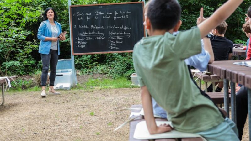„Grünes Klassenzimmer“ an Kaarster Gymnasium : Lernen zwischen Erdbeeren und Brennnesseln