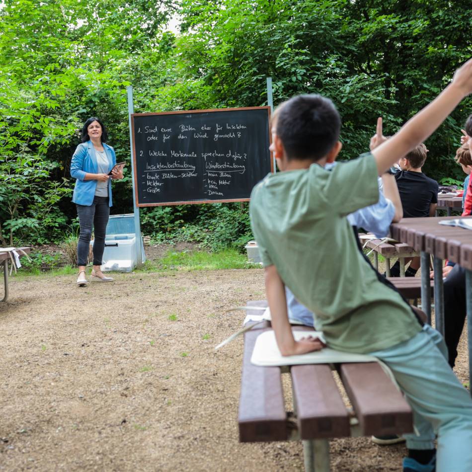 „Grünes Klassenzimmer“ an Kaarster Gymnasium : Lernen zwischen Erdbeeren und Brennnesseln