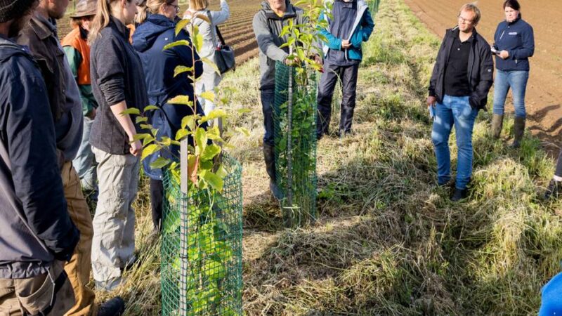 Gut Marienhof in Hückelhoven: Erster Agroforst-Betrieb im Kreis Heinsberg geht an den Start