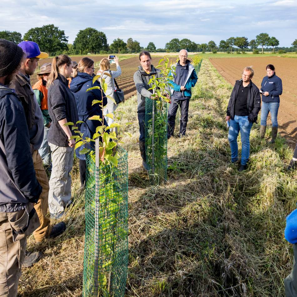 Gut Marienhof in Hückelhoven: Erster Agroforst-Betrieb im Kreis Heinsberg geht an den Start