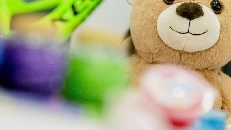 Aktion in der Stadtbücherei Mettmann: Plüschsause der Kuscheltiere