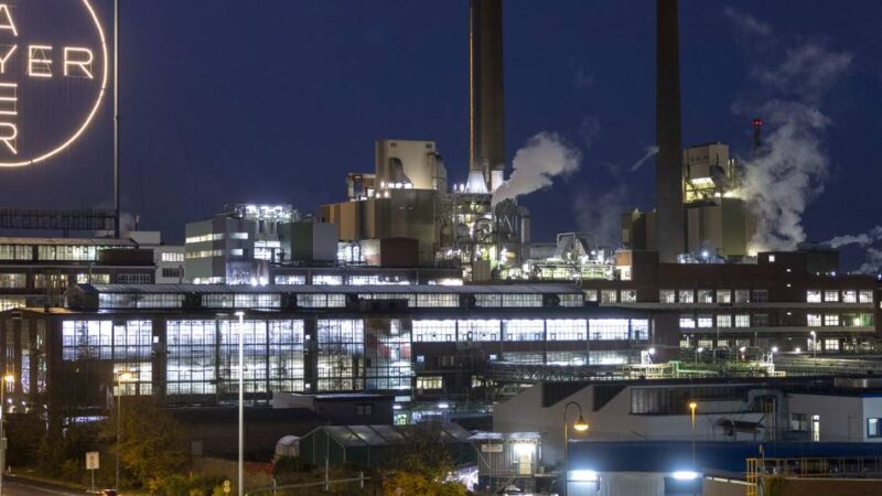 Glyphosat-Klagen: Tage der Wahrheit für Bayer in den USA