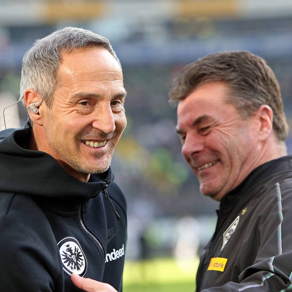 Frühere Borussia-Trainer: Hecking und Hütter mit neuen Aufträgen – wofür sie in Gladbach stehen