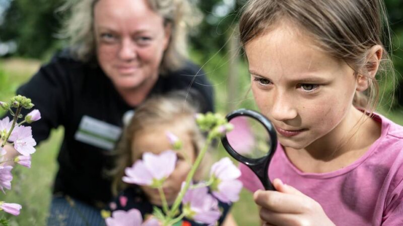 Kinder-Wildnis Langenfeld: Wildnistreff lädt Kinder zur digitalen Naturentdeckung ein