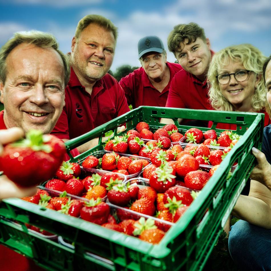 Hof Weeger in Langenfeld: Erdbeerfest mit einer Premiere und früherem Ende