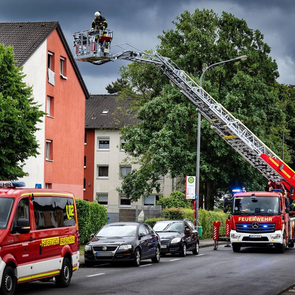Einsatz in Leverkusen: Feuerwehr löscht Brand in Hitdorf – und rettet Aquarium-Fische