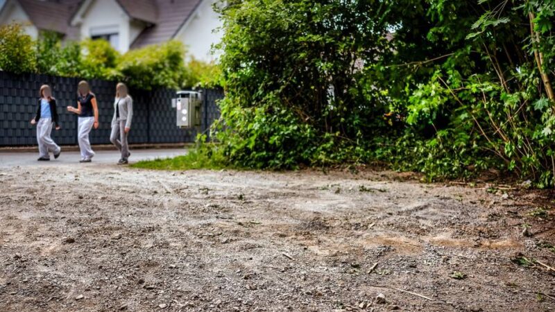 Stadt Monheim muss gerichtliche Auflagen erfüllen: Schutzhütte am Knipprather Wald wird versetzt