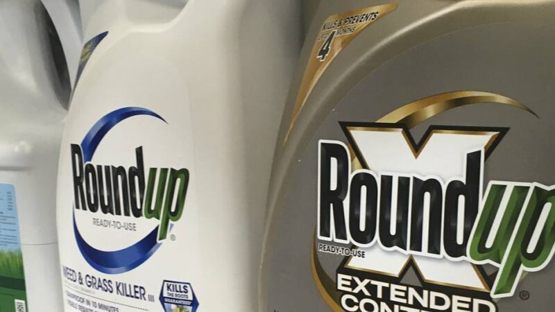 Bayer-Aktie hebt ab: Was Bayers Sieg vor dem höchsten US-Gericht bedeutet