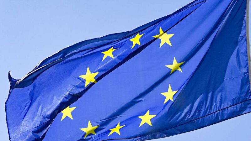 Veranstaltung in Mettmann: Was sich hinter der Europa-Union verbirgt