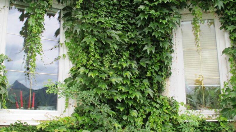 Langenfeld: Verbraucherberatung gibt Tipps zum Schutz vor Sommerhitze