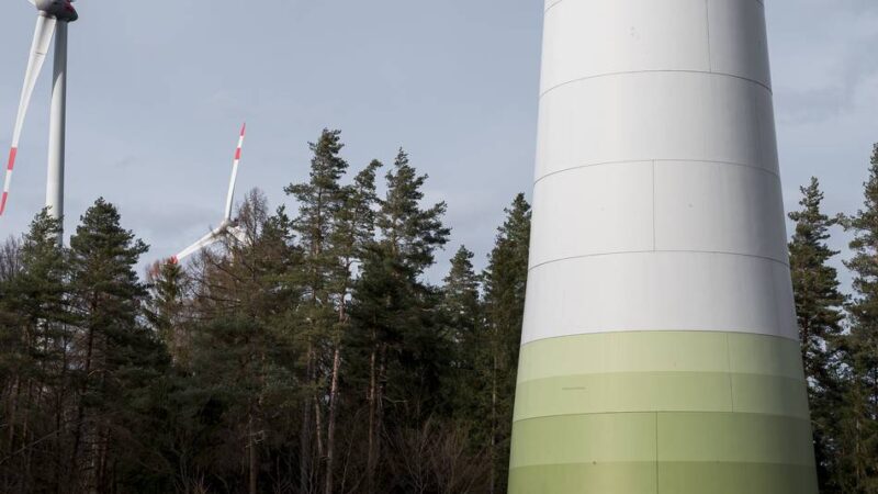 Windräder im Reichswald: Kreis Kleve verliert Eilverfahren vor dem Oberverwaltungsgericht