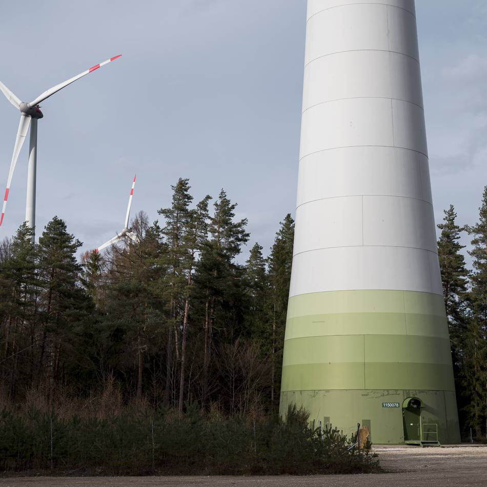 Windräder im Reichswald: Kreis Kleve verliert Eilverfahren vor dem Oberverwaltungsgericht