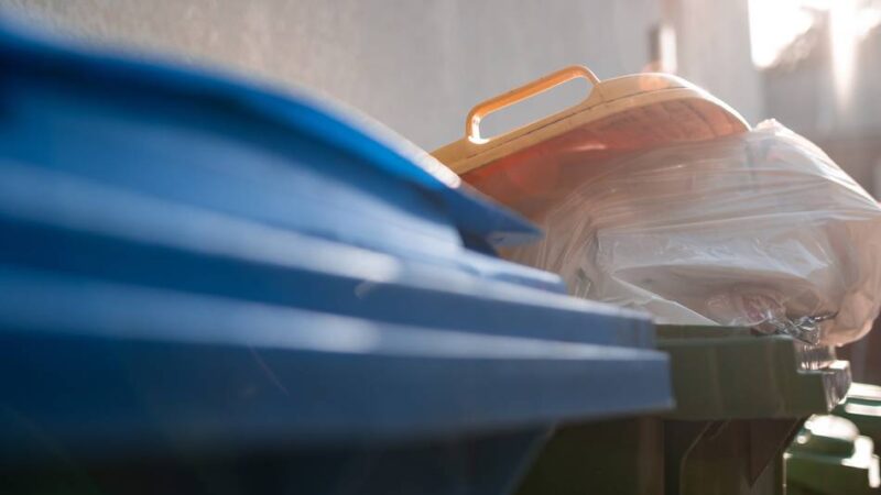 Abfuhr in Dormagen startet früher: Hitzewelle trifft Müllabfuhr – EGN ändert Abholzeiten