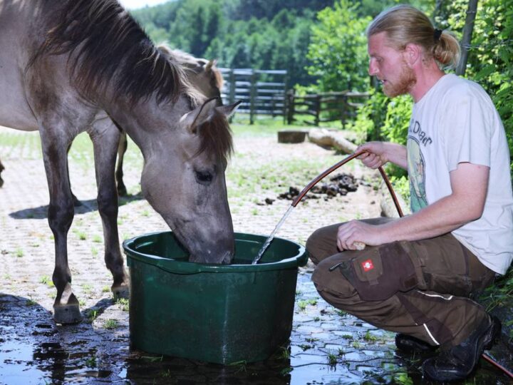 Hochsommer im Kreis Mettmann: Das große Schwitzen der Tiere