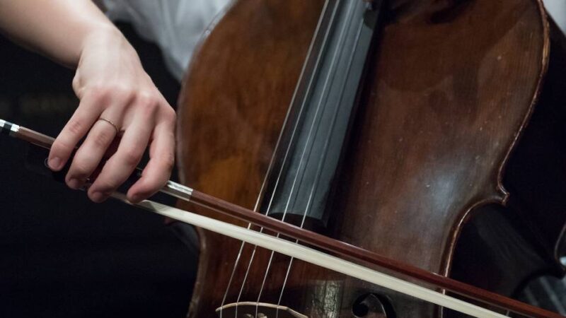 Musikschule lädt zum Mitmachen ein: Musik erleben, entdecken und gestalten