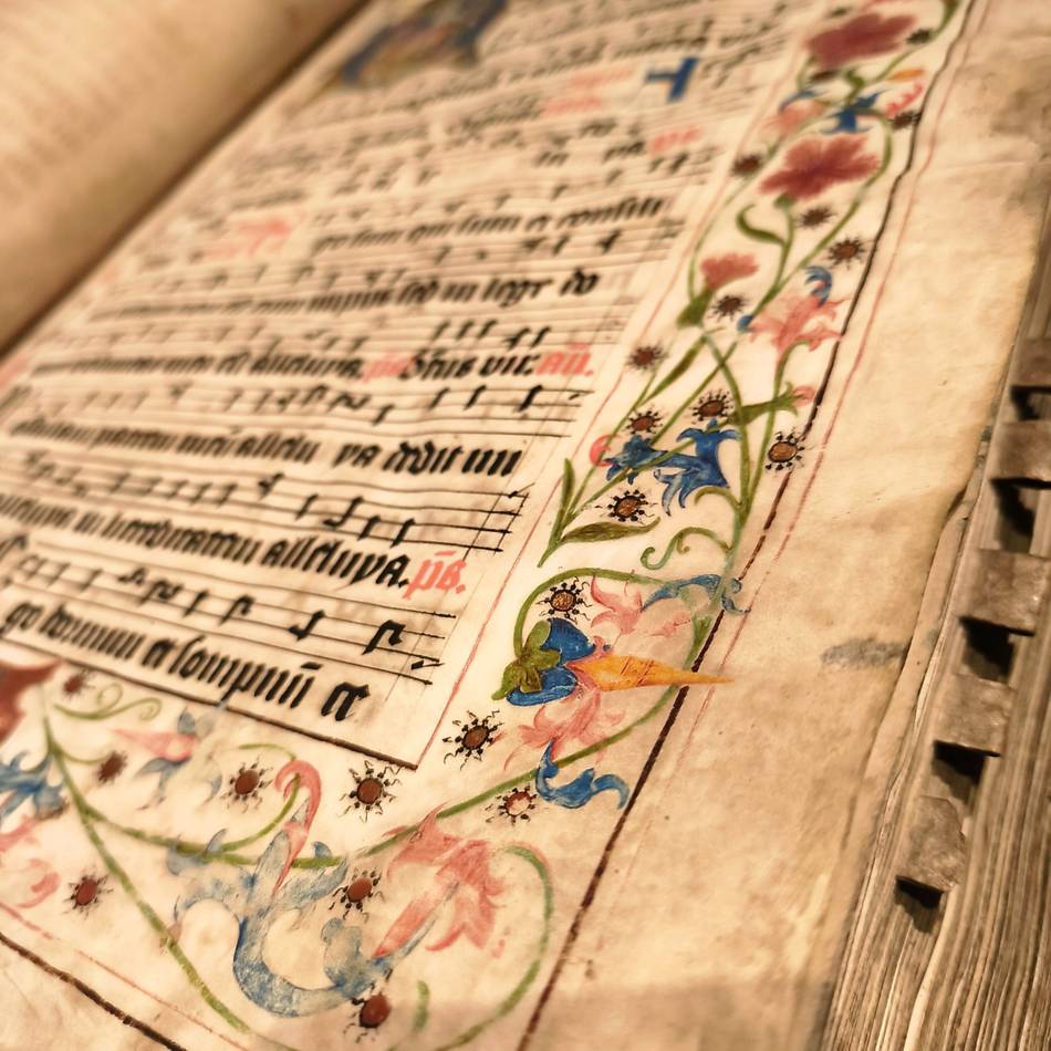 Bananenkunst und Historische Bibliothek: Xantener Museum zeigt Sammlung aus neuen Perspektiven
