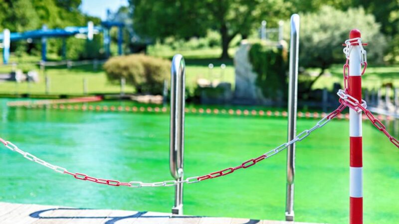 Schwimmen in Mettmann: Naturfreibad nach Blitzeinschlag wieder geöffnet