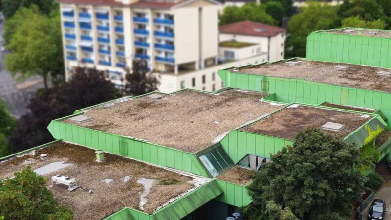 Stadthalle Mettmann: Kindermesse „Phänomania“ will in die Laubfroschoper