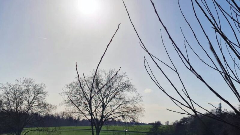 Klimaschutz in Mettmann: Rettet der Hitzeaktionsplan die Kirchendelle?