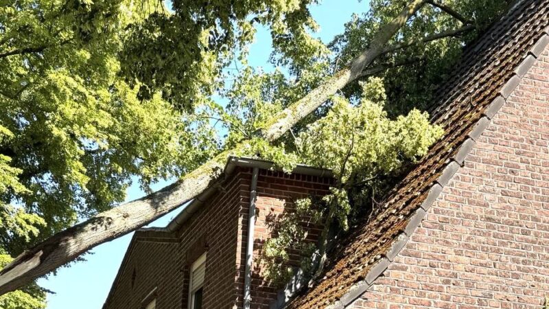 Unwetter in Viersen: Baum stürzt auf Haus
