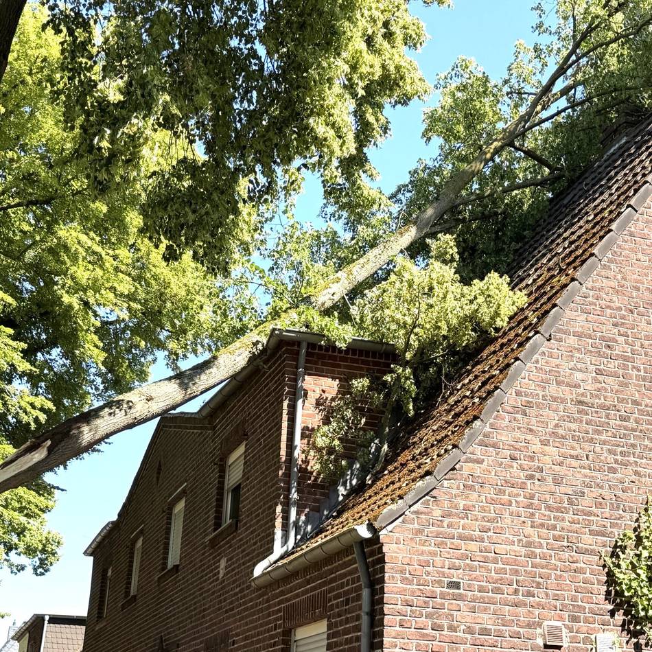 Unwetter in Viersen: Baum stürzt auf Haus