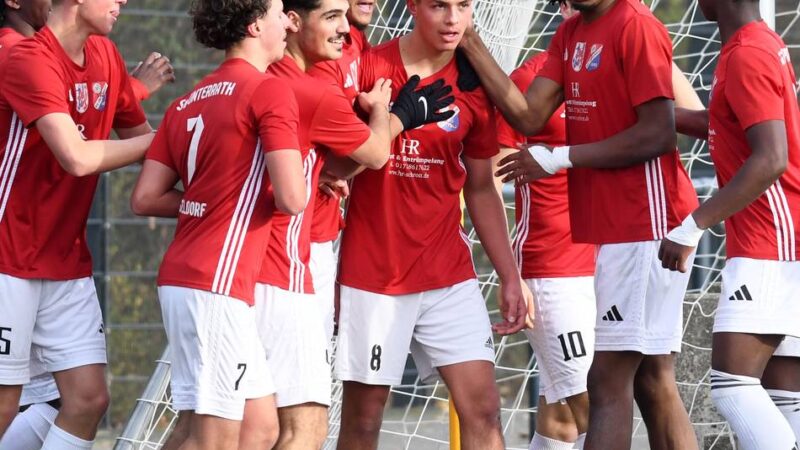 Aus Leistungsklasse wird Landesliga: Was sich zur kommenden Saison im Jugendfußball ändert