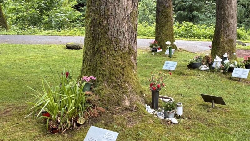 Bestattungen in Wermelskirchen: Braucht Wermelskirchen einen Bestattungswald ?