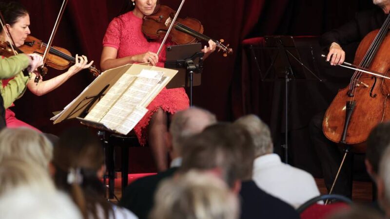 Konzert in Mettmann: Kammermusik vom Feinsten in der Kulturvilla