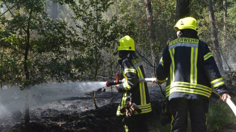 Waldbrandgefahr im Grenzland: Was der Sommer für die Feuerwehren bedeutet