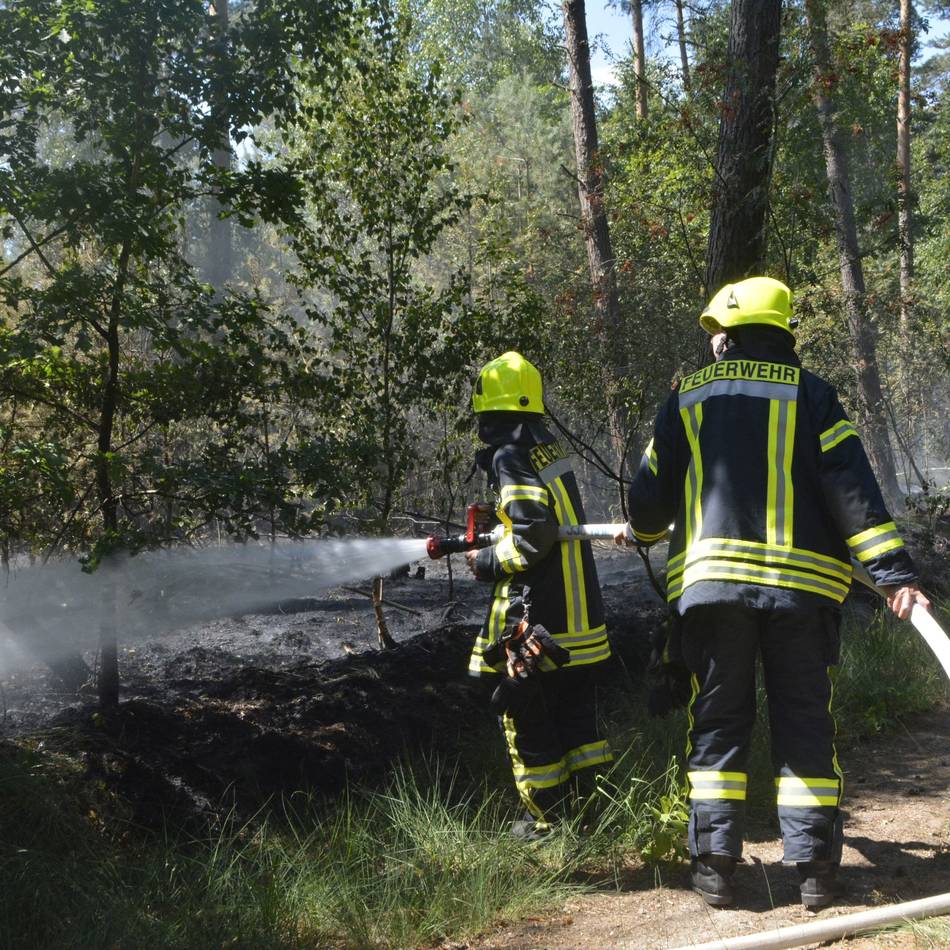 Waldbrandgefahr im Grenzland: Was der Sommer für die Feuerwehren bedeutet