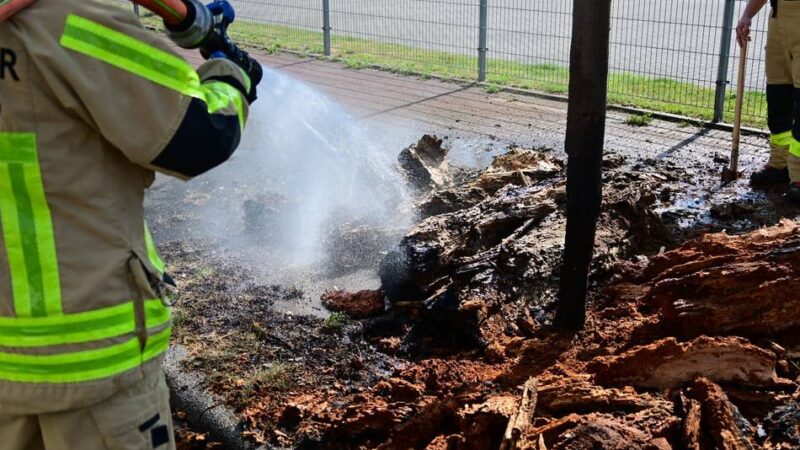 Einsatz in Krefeld: Feuerwehr löscht Baumstämme auf Grünfläche