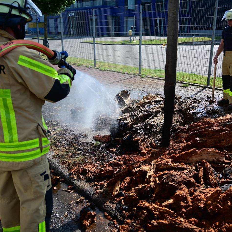 Einsatz in Krefeld: Feuerwehr löscht Baumstämme auf Grünfläche