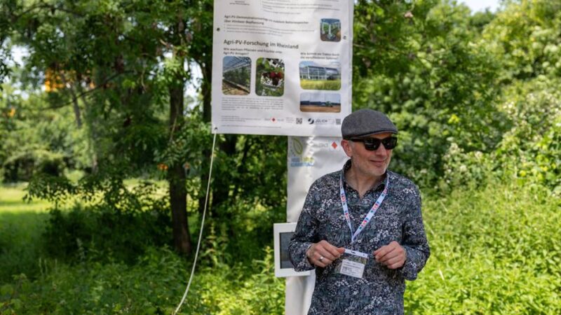 Modellanlage zur Stromerzeugung: Himbeeren unter Solarpanelen – Neuss zeigt wie es geht