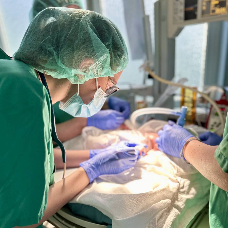 Rheinland-Klinikum und St.-Augustinus-Gruppe: Krankenhausträger im Rhein-Kreis Neuss vor der Zweckehe