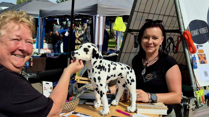 Am Samstag in Ossenberg: Zum Wochenmarkt „für Hund und Katz“ kommen auch Greifvögel